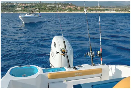 Ranieri Renegade 22 — foto 2