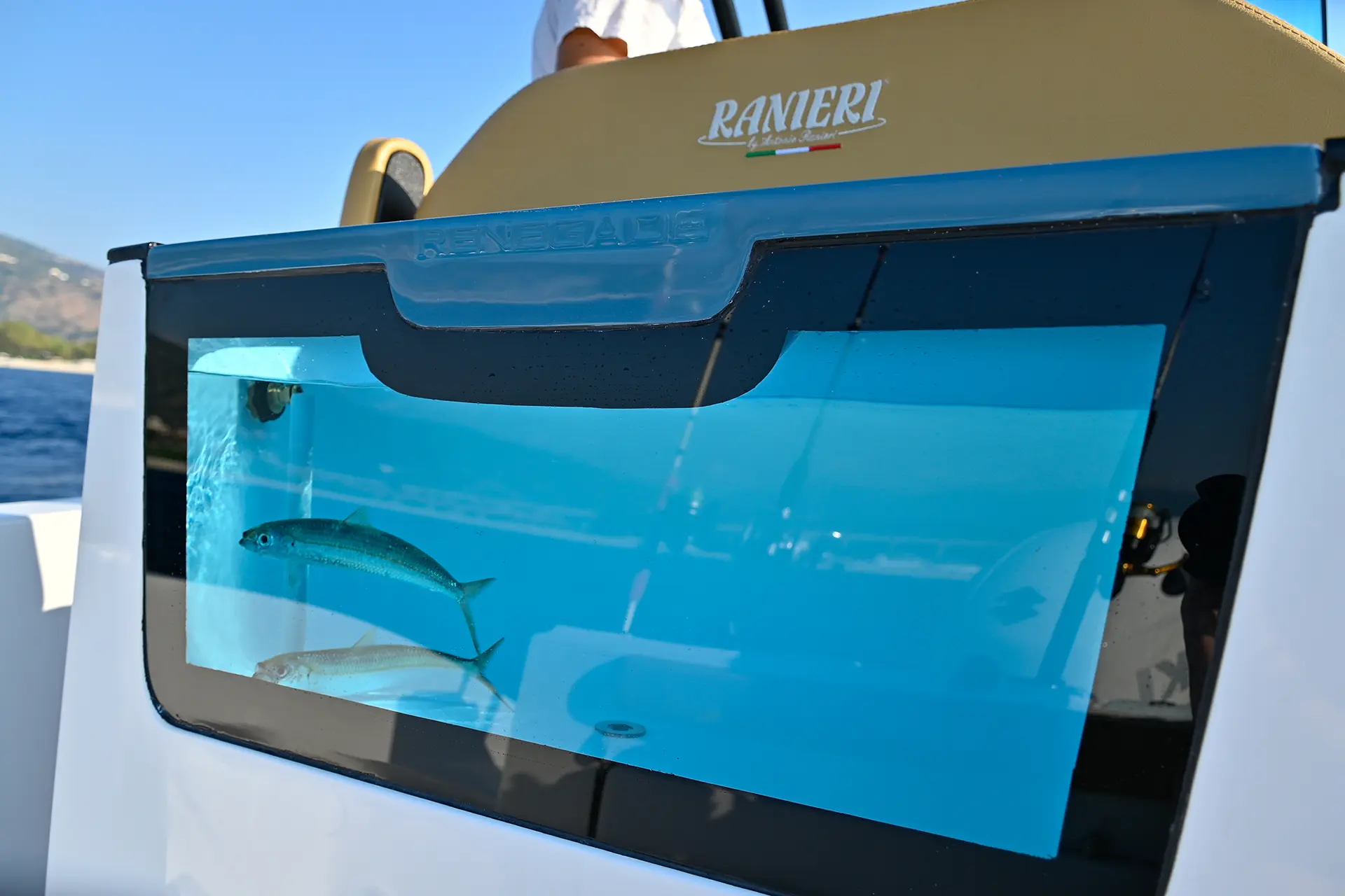Ranieri Renegade 22 — foto 3